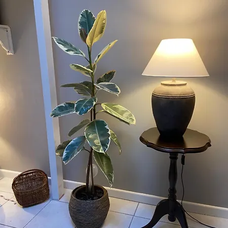 Appartamento Maisonnette Individuelle Au Coeur De *