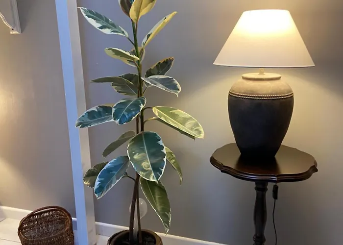 Appartement Maisonnette Individuelle Au Coeur De *